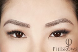 Phi Brows